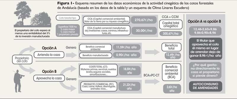 NO CARGA LA IMAGEN