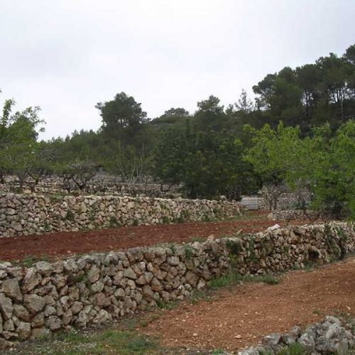 Los muros de piedra seca son declarados Patrimonio de la Humanidad