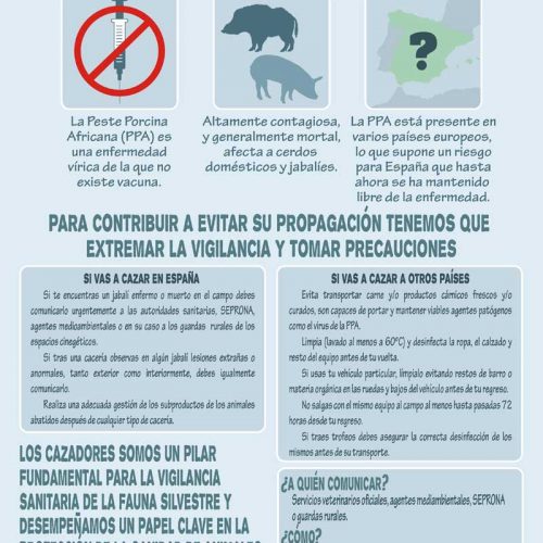 Infografía con las medidas de actuación ante la Peste Porcina Africana (PPA)