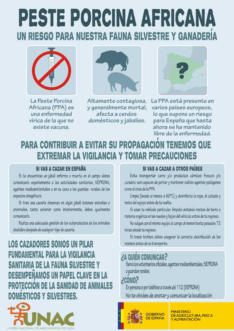 infografia-ppa