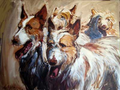 podenco-andaluz2