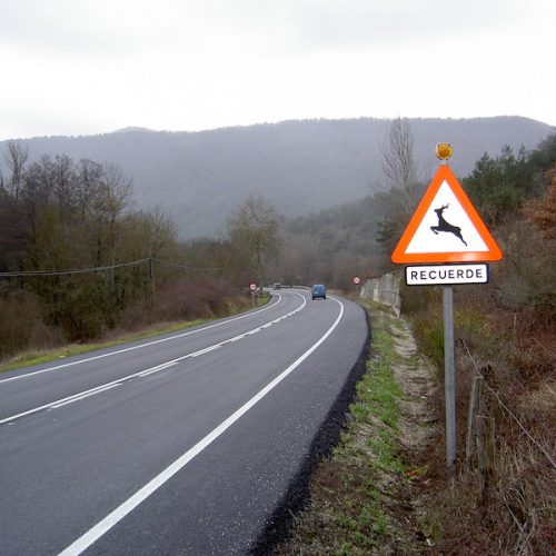 La fauna ocasiona en Navarra más de 500 accidentes al año