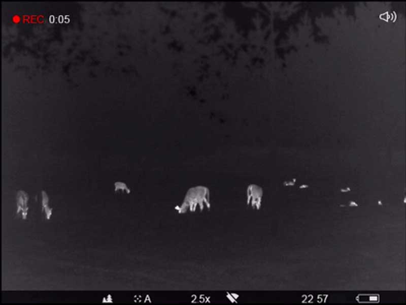 Binocular-Accolade-White-