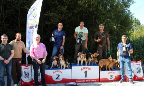 Miguel Aguión y sus beagles campeones de la VI Copa de España de Perros de Rastro sobre Conejo