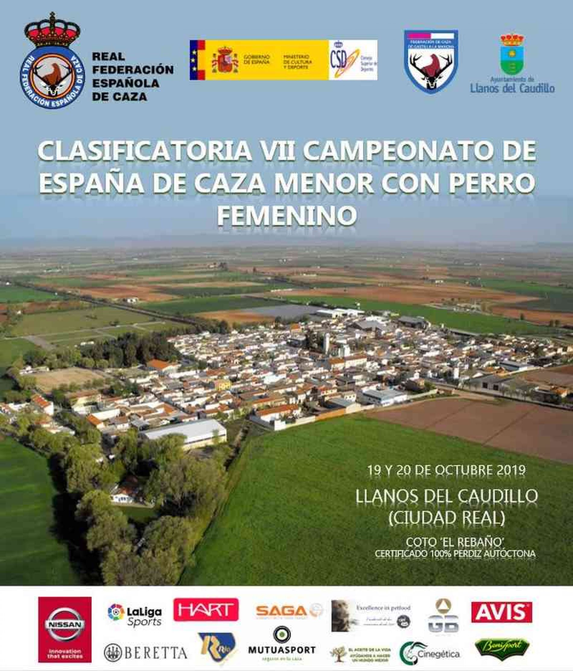 El pase a la final del VII Campeonato de España de Caza Menor con Perro Femenino se decide este El pase a la final del VII Campeonato de España de Caza Menor con Perro Femenino se decide este