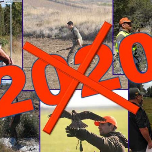 Suspendidas todas las competiciones oficiales de caza en 2020 a nivel provincial, autonómico y nacional