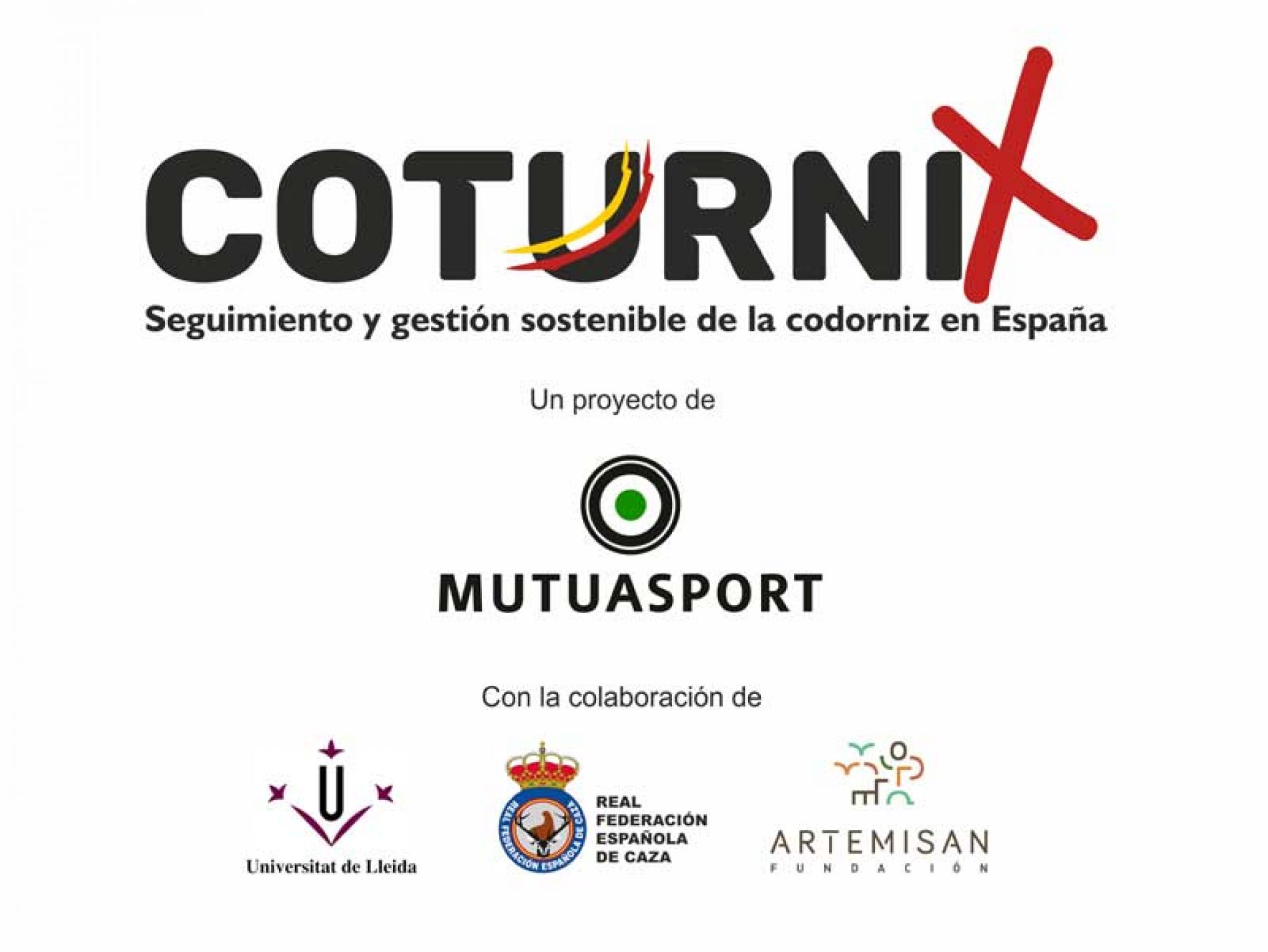 Nace ‘Coturnix’, un proyecto de ciencia ciudadana aplicada a la conservación de la codorniz