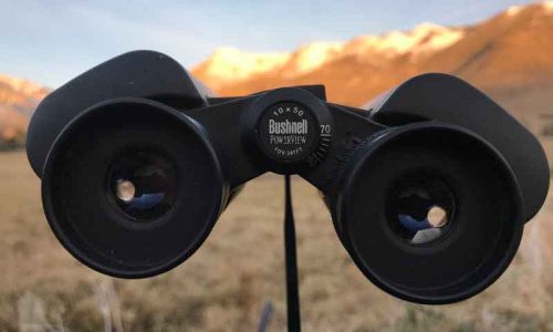 Binoculares Bushnell Powerview y Powerview 2