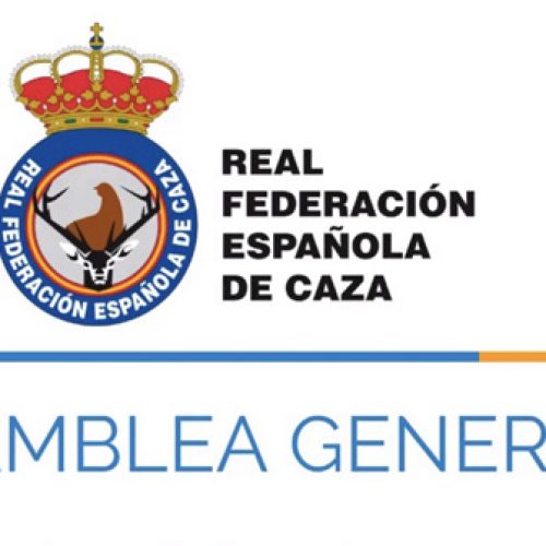 La RFEC celebra su Asamblea General Ordinaria 2020 de forma telemática