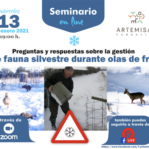 Seminario Preguntas y respuestas sobre la gestión de fauna silvestre durante olas de frío de Fundación Artemisan