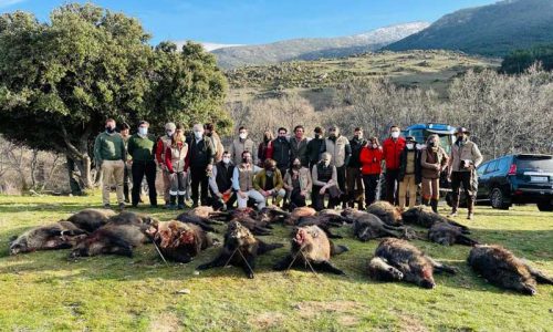 El Real Club de Monteros celebra su IX Montería Anual en Villatoro