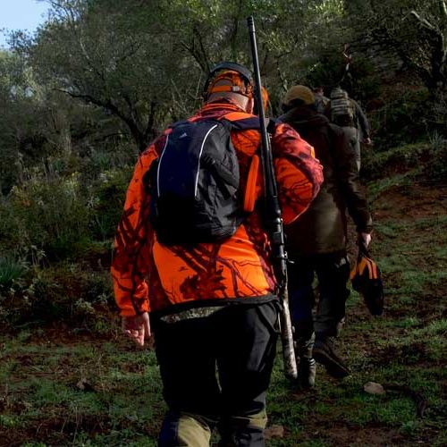 Castilla-La Mancha estudia compensar la reducción de ingresos de las sociedades de cazadores por el Covid-19