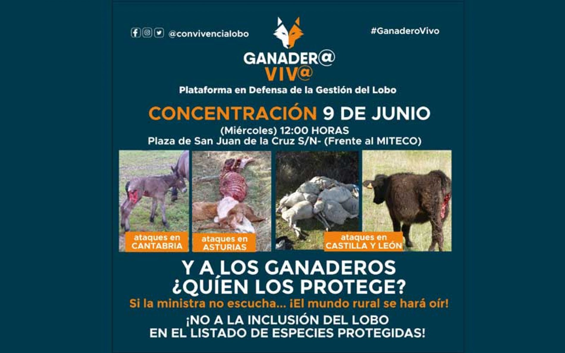 Movilización contra la protección del lobo el 9 de junio en Madrid