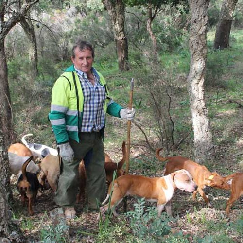 El borrador del reglamento de caza en Castilla-La Mancha es un norma «manifiestamente mejorable» para la AER