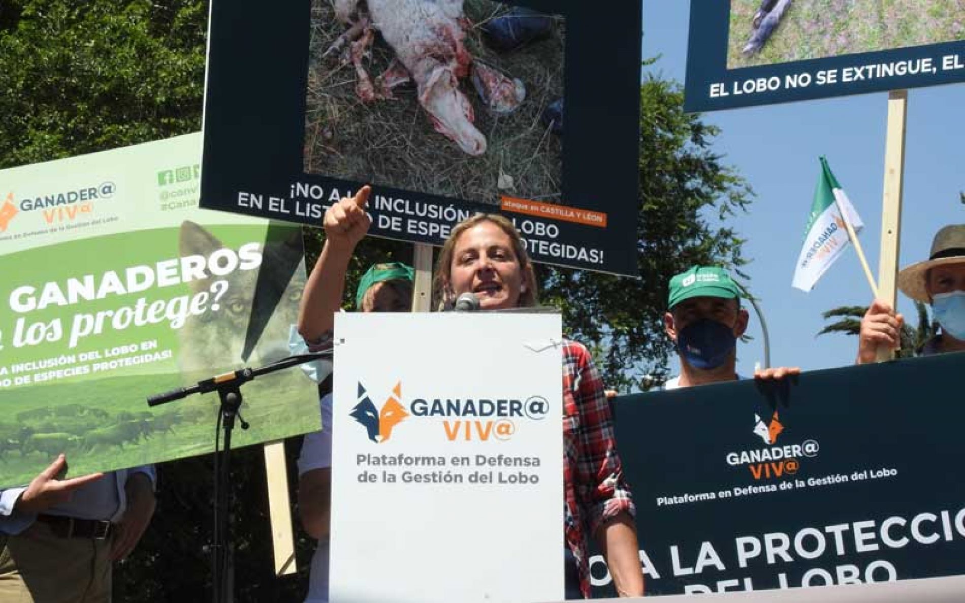 El mundo rural reivindica la gestión del lobo para la supervivencia de la España vaciada