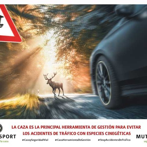 Mutuasport lanza un vídeo sobre la necesidad de la caza para frenar los accidentes de tráfico
