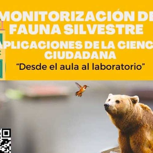 El IREC organiza un curso sobre monitorización de fauna silvestre y ciencia ciudadana