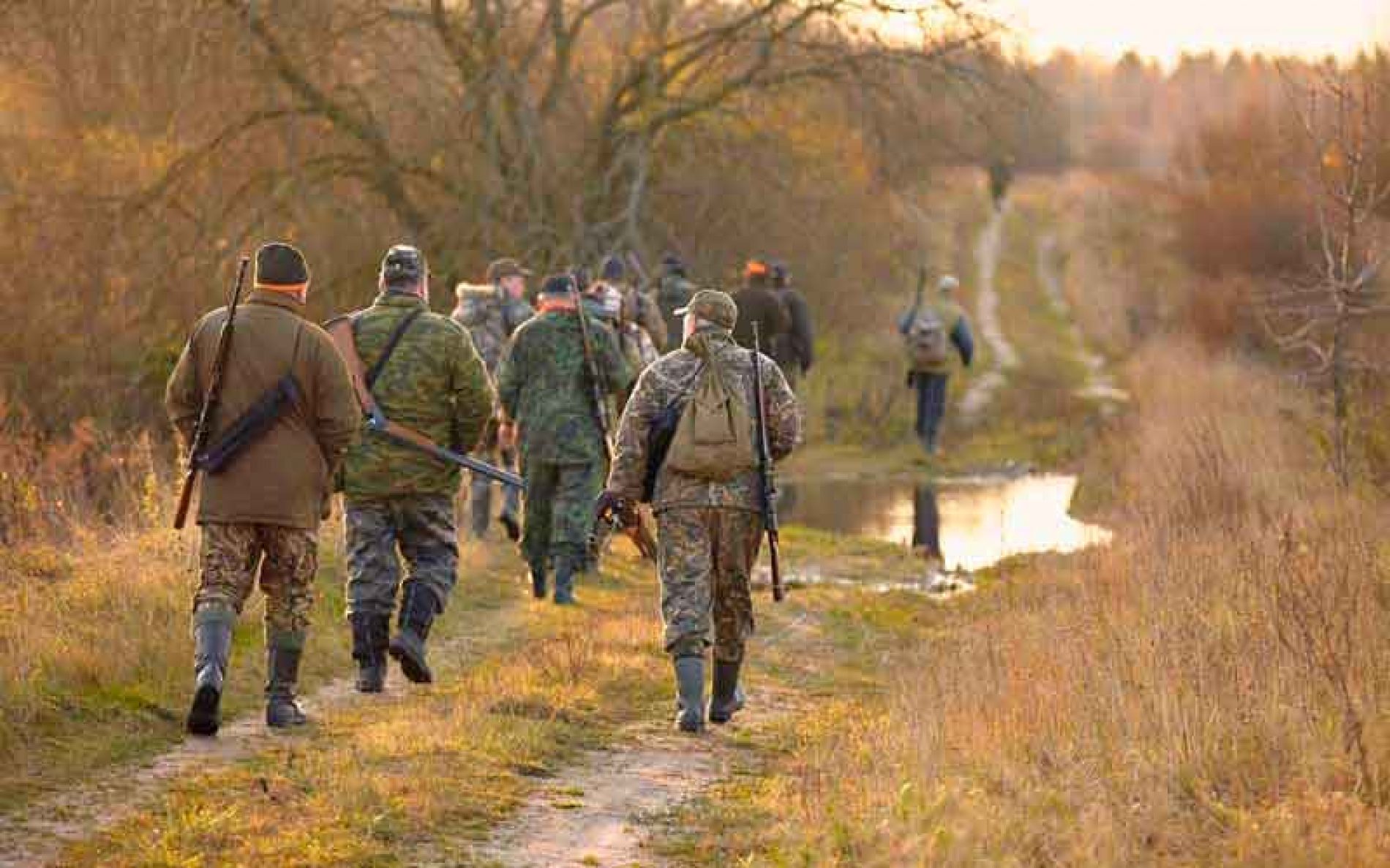 En Andalucía los cazadores federados se beneficiarán de un descuento del 50% en la licencia de caza