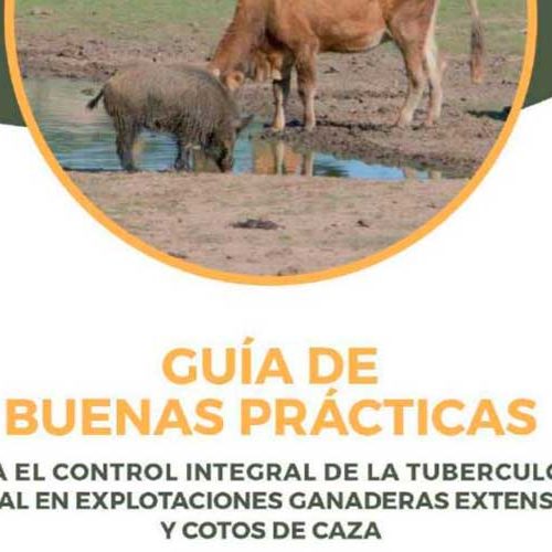 INNOTUBEX publica una ‘Guía de Buenas Prácticas’ para controlar la tuberculosis en fincas ganaderas y de caza