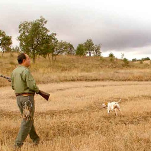 Los cazadores piden al presidente del PP que intervenga ante la formación de una asociación parlamentaria animalista