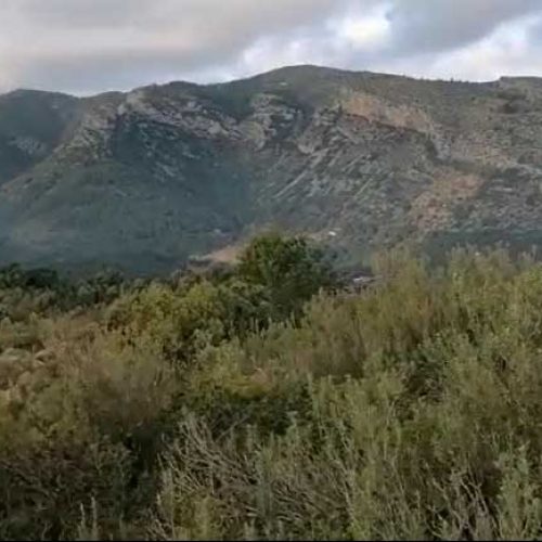 Los cazadores valencianos emprenderán acciones legales tras el boicot de una batida