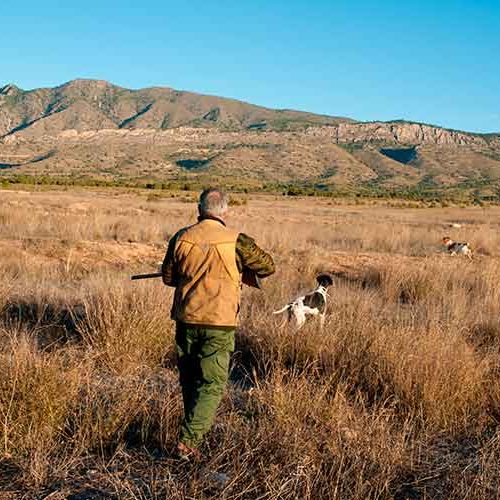 La Federación señala que la reforma del Código Penal puede acabar con la caza