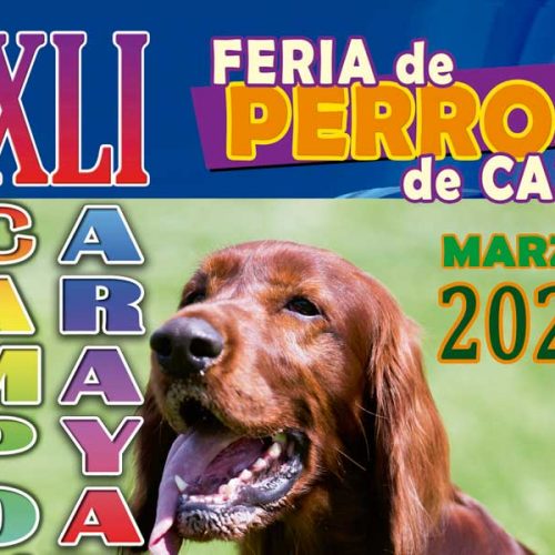 La localidad berciana de Camponaraya celebrará la XLI Feria de Perros de Caza el 12 y 13 de marzo
