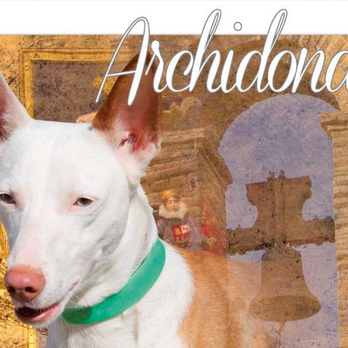 Casi 30 años de historia de la Feria del Perro de Archidona, que celebrará una nueva edición del 29 de abril al 1 de mayo