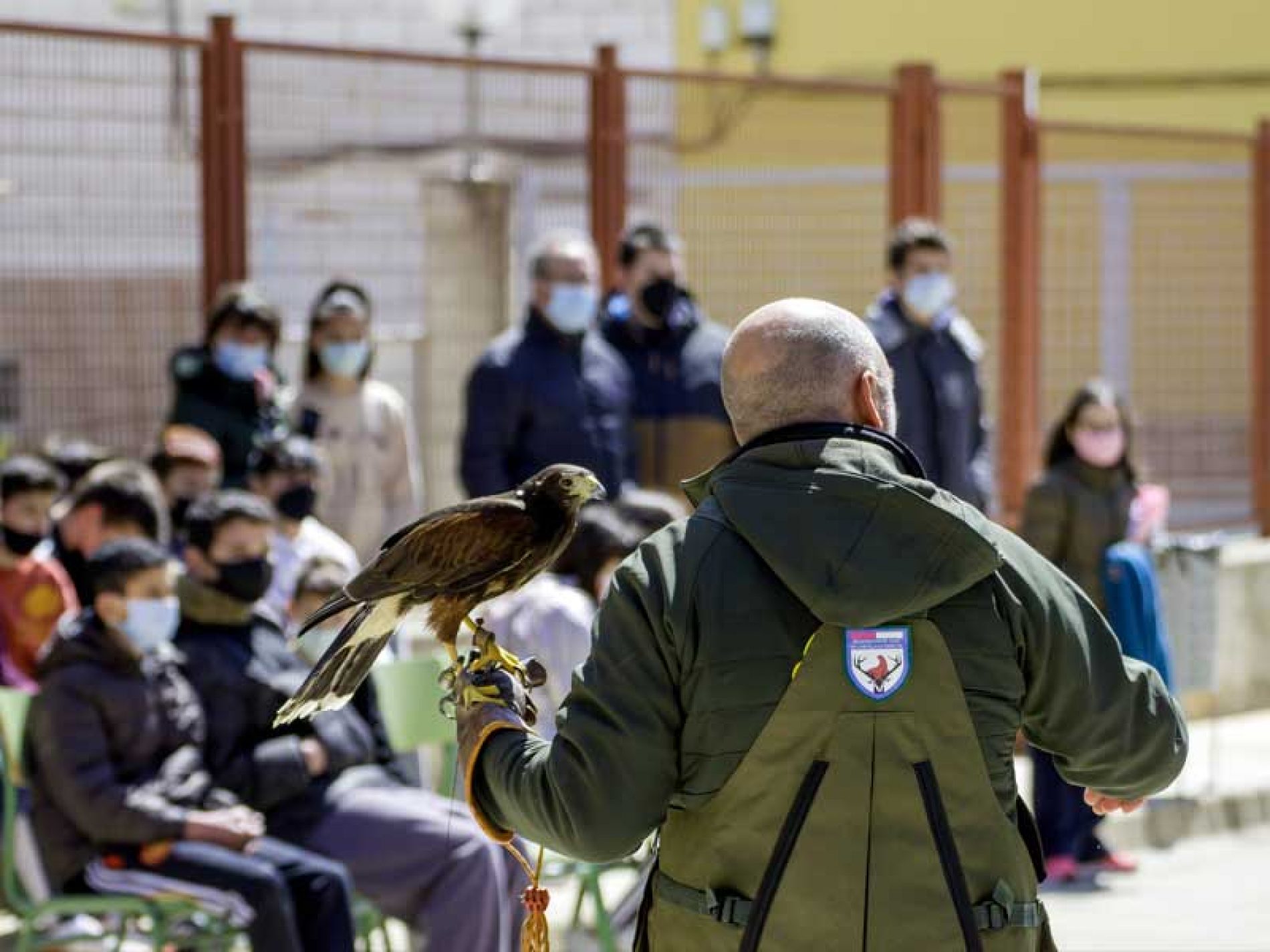La Federación de Caza de Castilla-La Mancha lleva la cetrería a las aulas con el programa «Volando por la naturaleza»