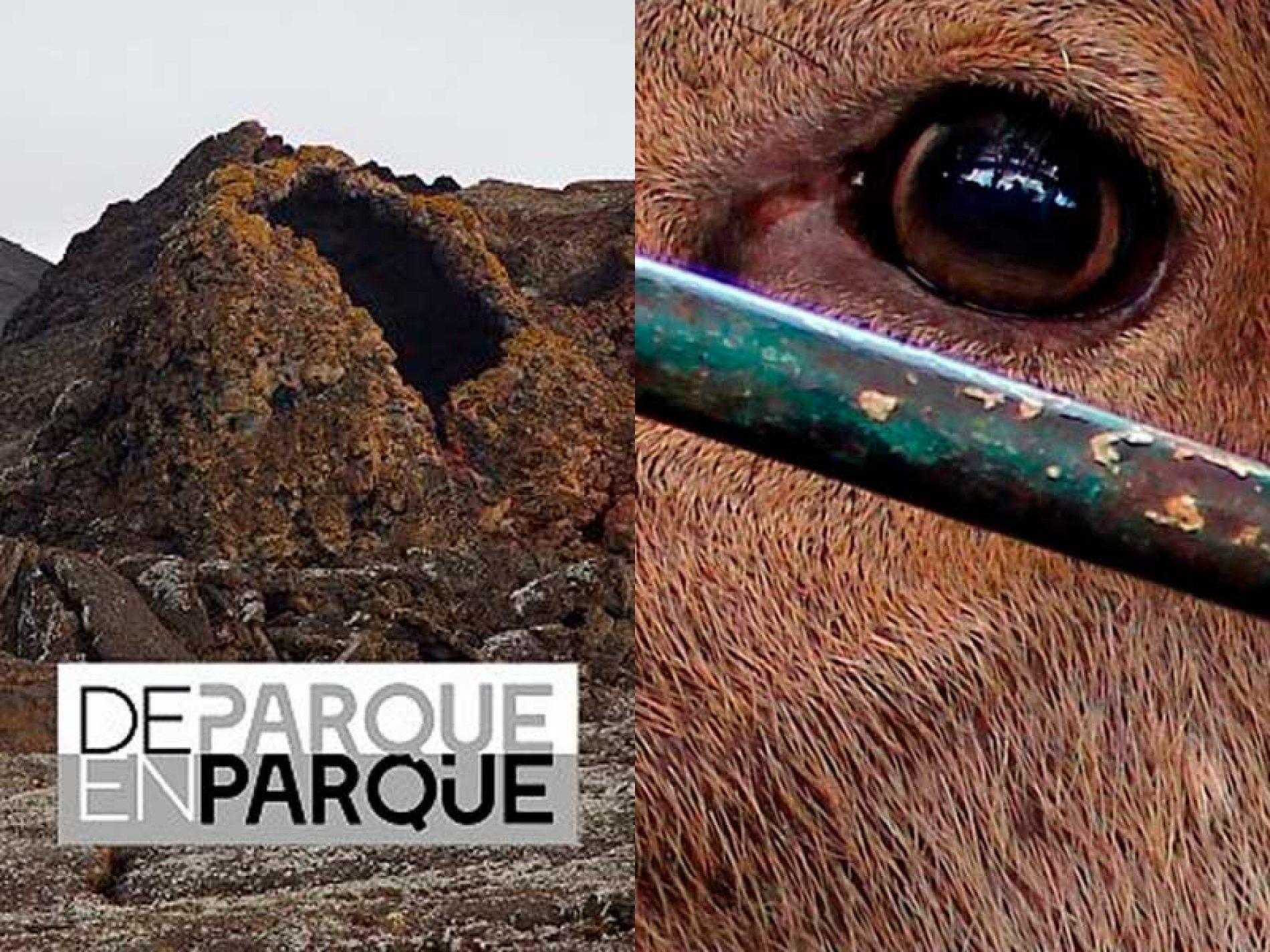 La serie estrella de RTVE y el Miteco sobre la Red de Parques Nacionales de España da una imagen feudal de la caza