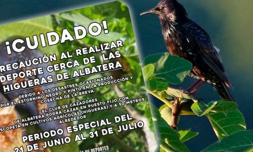 Cazadores desde puestos fijos protegerán la cosecha de brevas del municipio que más higos produce en España