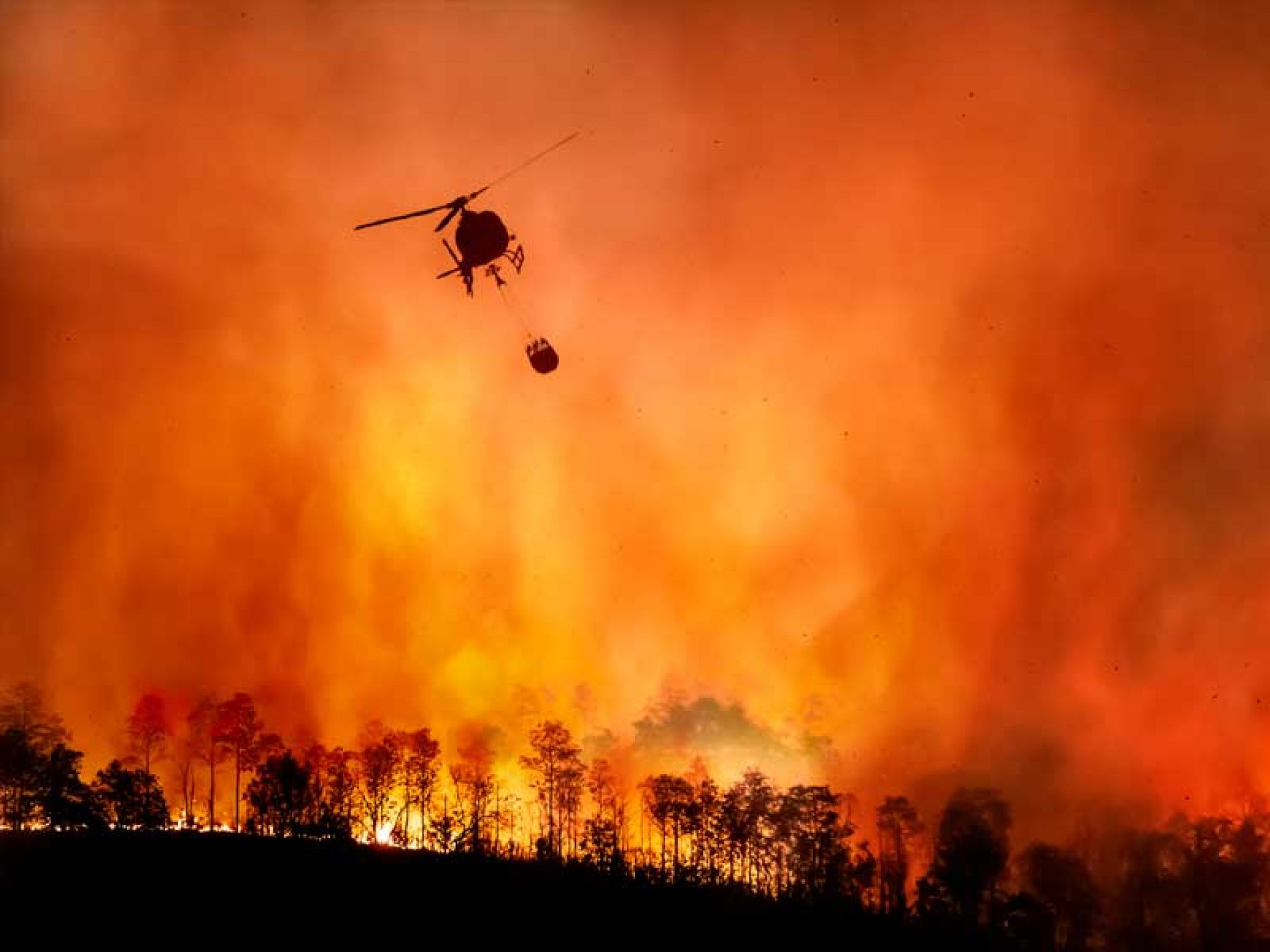 Ayudas económicas para los cazadores federados que han visto asolados sus cotos tras el incendio de Sierra de la Culebra