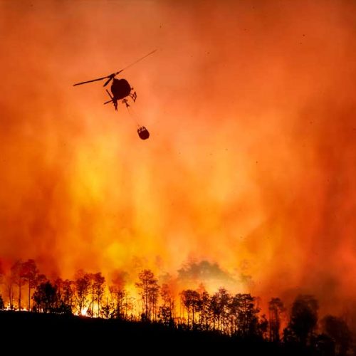 Ayudas económicas para los cazadores federados que han visto asolados sus cotos tras el incendio de Sierra de la Culebra