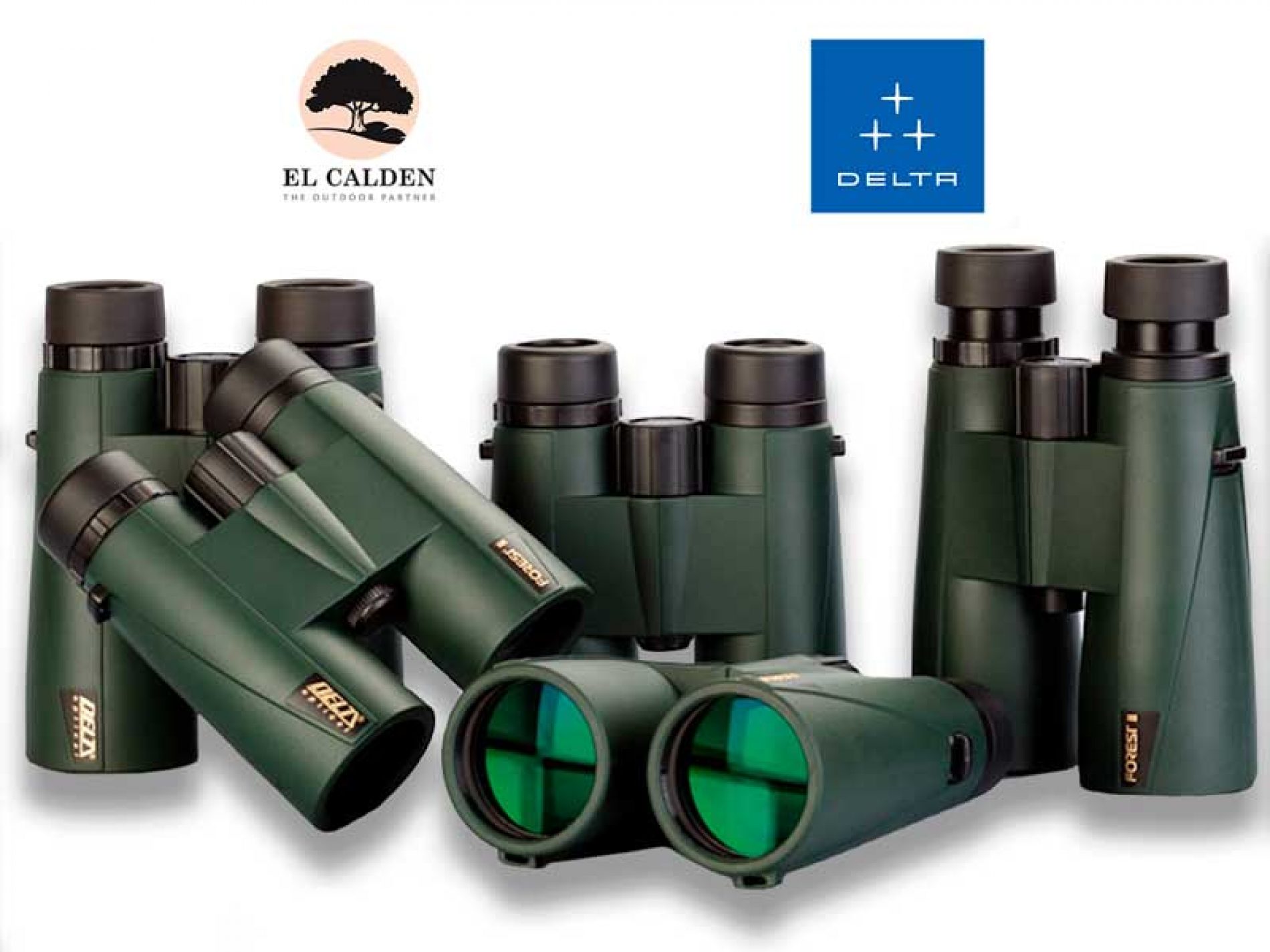 Serie Forest II: los prismáticos Delta más vendidos en España ya están disponibles con 8, 10 y 12 aumentos