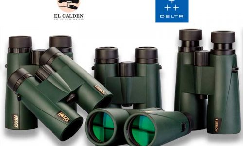 Serie Forest II: los prismáticos Delta más vendidos en España ya están disponibles con 8, 10 y 12 aumentos
