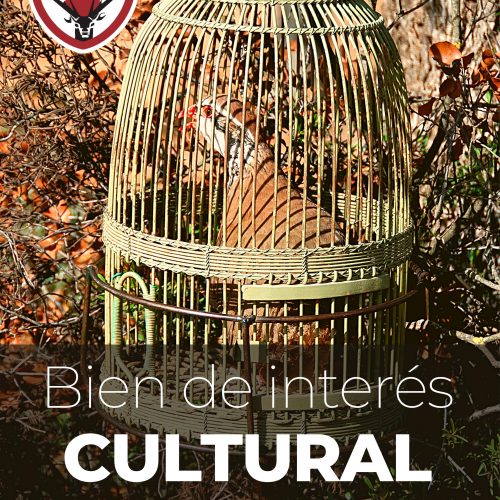La FAC comienza a trabajar para declarar la perdiz con reclamo como Bien de Interés Cultural en Andalucía