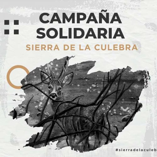 ‘Volveremos a nacer’ es la nueva campaña solidaria tras el incendio que arrasó la Sierra de la Culebra