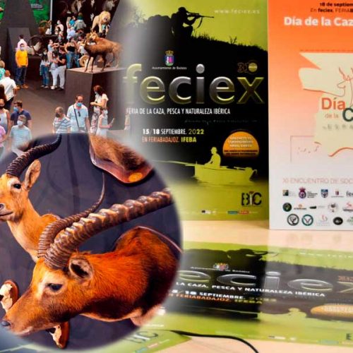 Arranca en 48 horas una nueva edición de Feciex con más de 120 actividades de caza, pesca y naturaleza