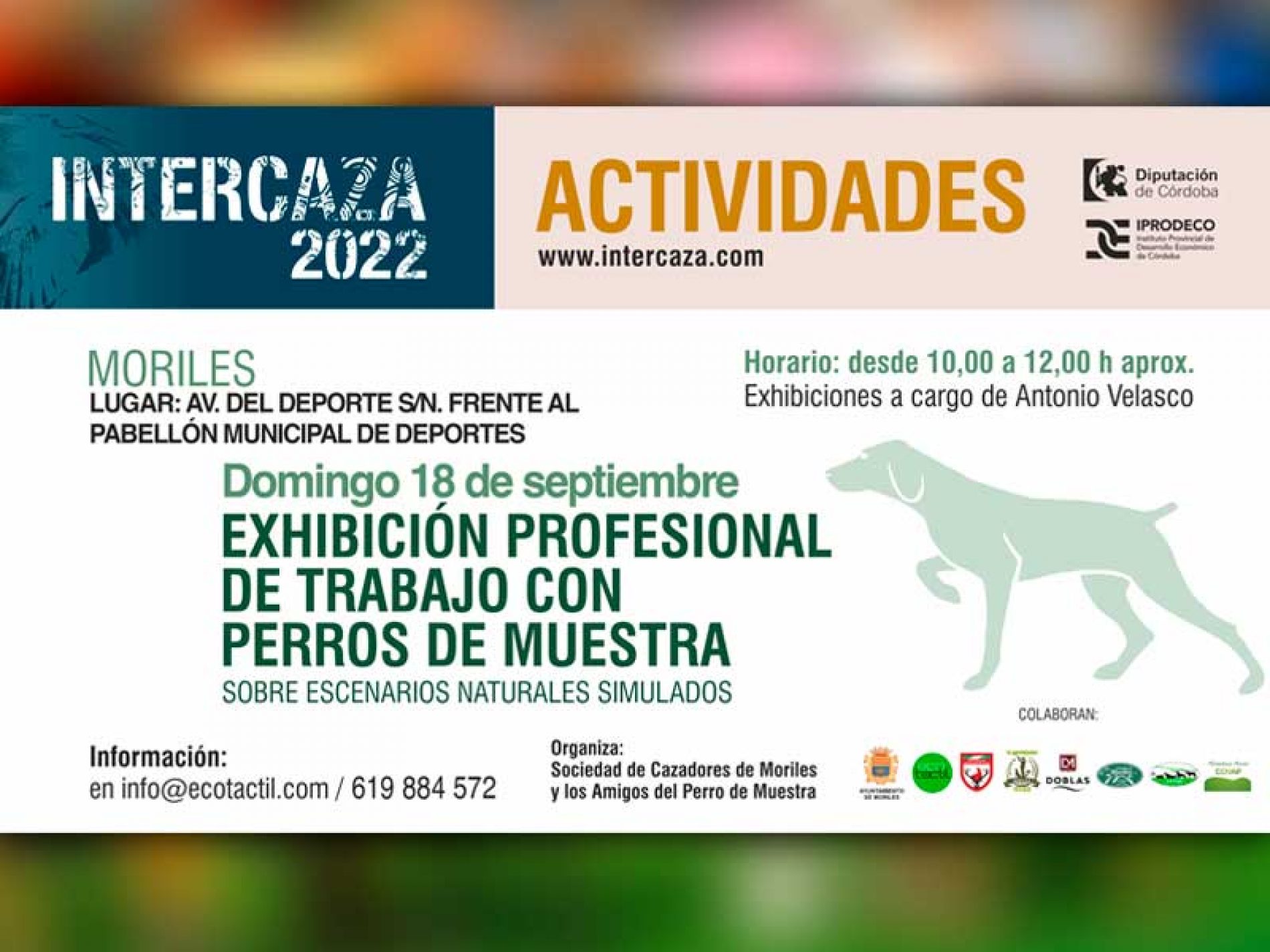 Intercaza 2022 calienta motores con un completo programa de actividades de caza y naturaleza por toda Córdoba