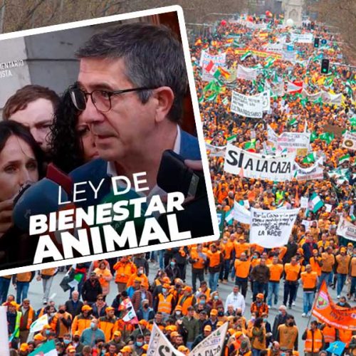 El PSOE cambia de rumbo gracias al «intenso trabajo» y a la presión del sector de la caza con su «marea naranja»