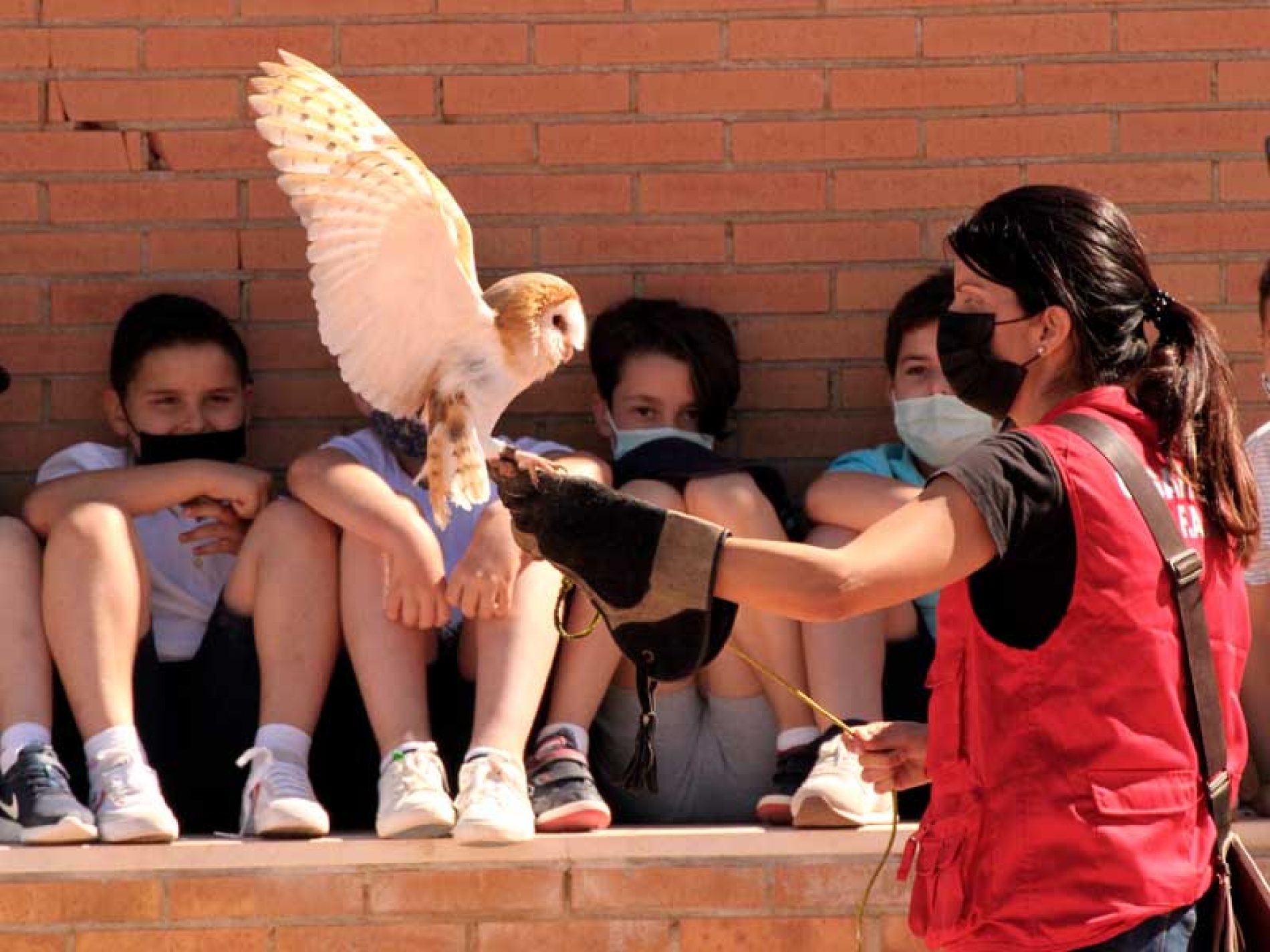 Caza y conservación llegan a los colegios públicos andaluces con el Proyecto Huellas de la FAC